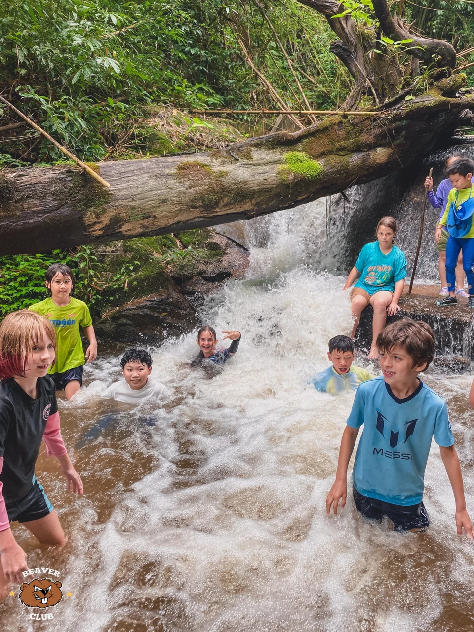 Children exploring flowing water beneath a fallen tree during a nature outing
