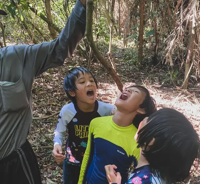 Children exploring plants together on a forest trip