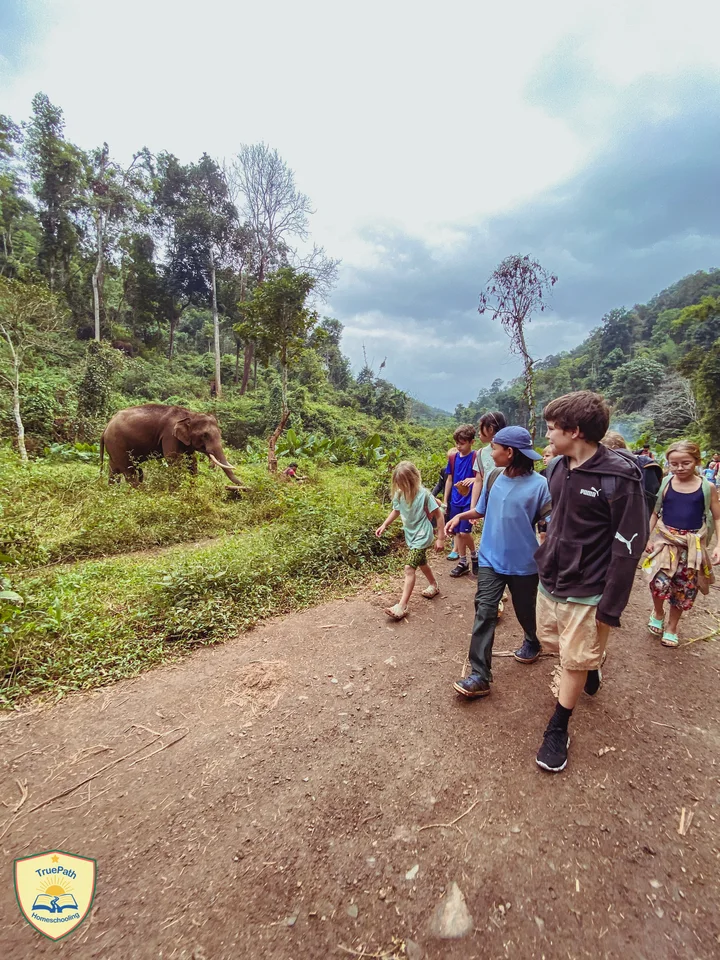 Children walking together along a green countryside path